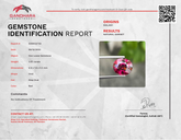 Oval Cut Rhodolite Garnet 3.65 Carats